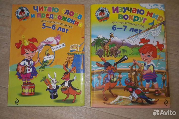 Развивающие пособия (Ломоносовская школа)