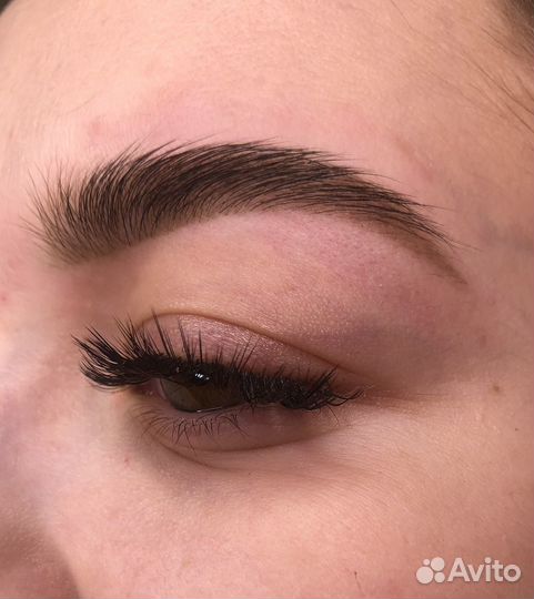 Обучение на brow-мастера