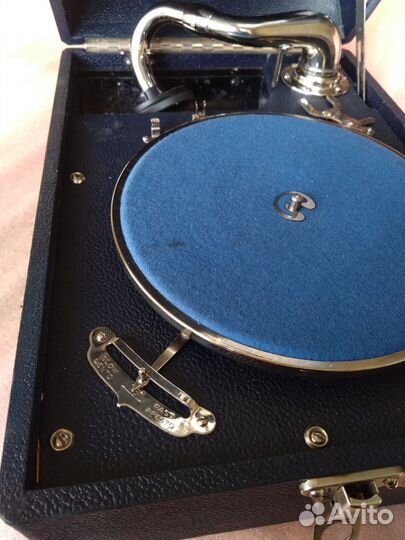 Патифон darling