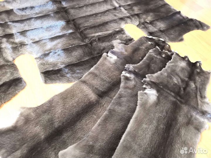 Шкурки норки