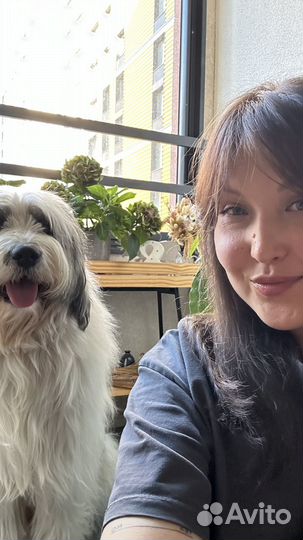 Кинолог зоопсихолог