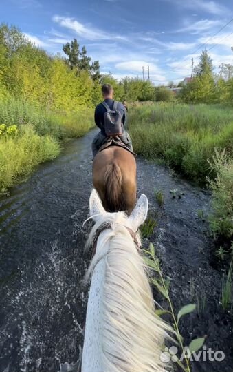 Конный поход (5 часов) на озеро Тальков Камень