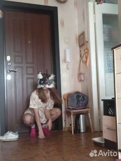 Милая маска домашнего котика