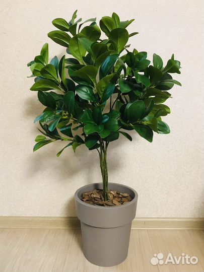 Дерево Фикус Пальма искусственные цветы Икеа