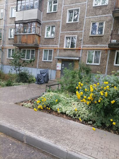 3-к. квартира, 56,5 м², 4/5 эт.