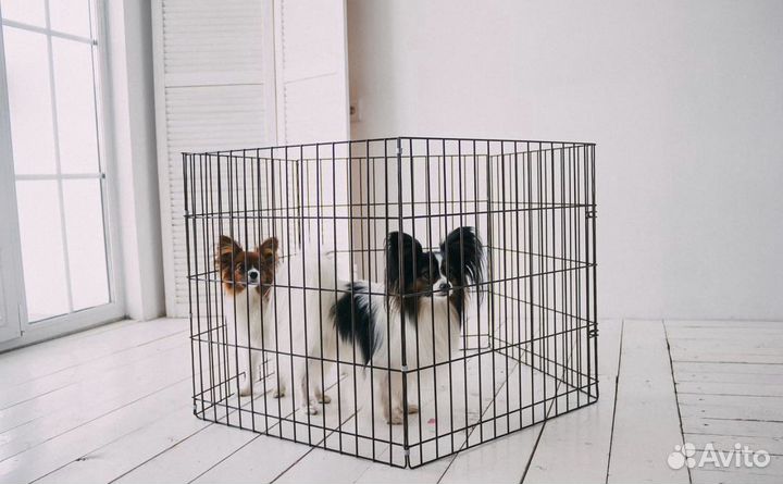 Вольер для питомцев на 6 секций в наличии.новый