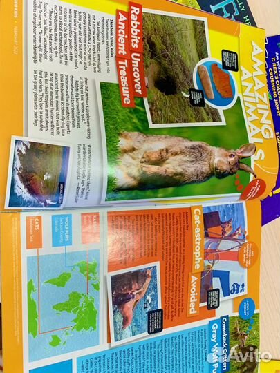 Детские журналы о животных на английском языке