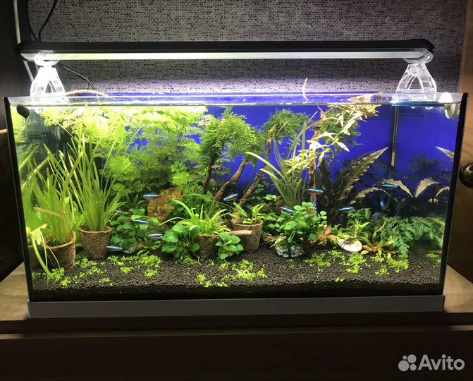 Обслуживание аквариумов