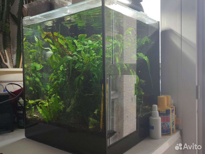 Аквариум под ключ