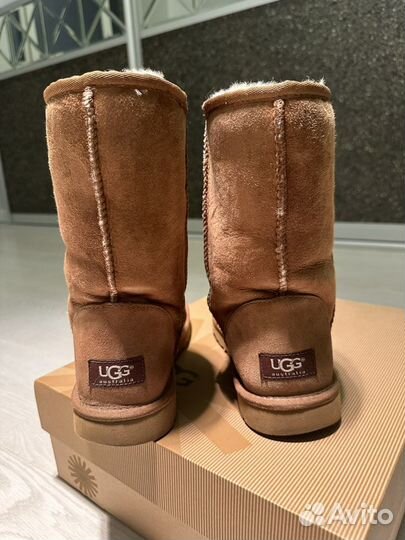 Ugg Classic Short Chestnut 39