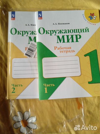 Рабочая тетрадь 1 класс Школа Росии ч.1 и ч.2