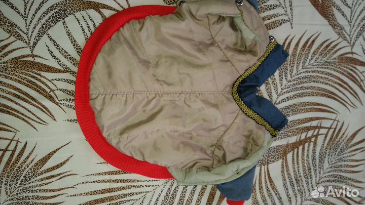 Одежда для маленьких собак s