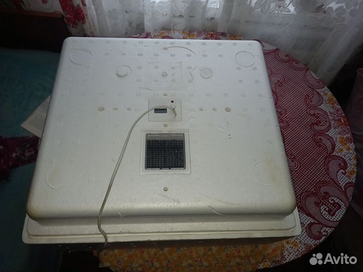 Инкубатор для яиц