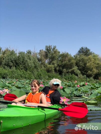 Водные прогулки в Астрахани на сап-бордах и каяках