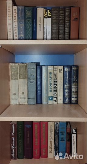 Школьная литература, русская классика, поэзия