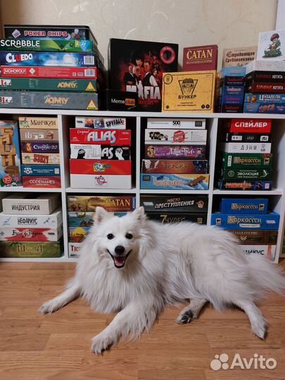 Аренда настольных игр