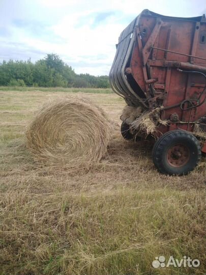 Сено в тюках