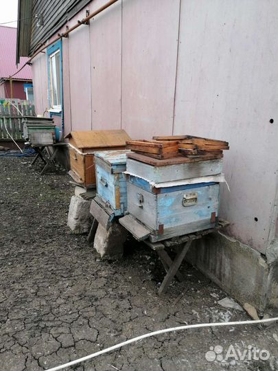 Улей для пчел бу