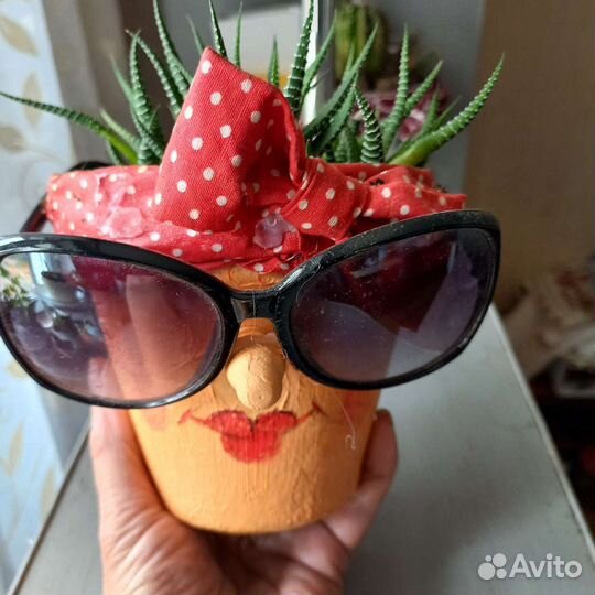 Кактусы и суккуленты в дизайнерском кашпо