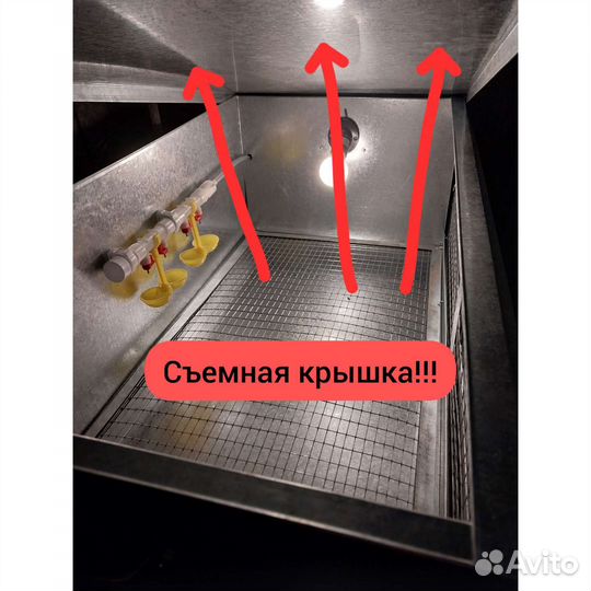 Брудер на 50-70 суточных цыплят