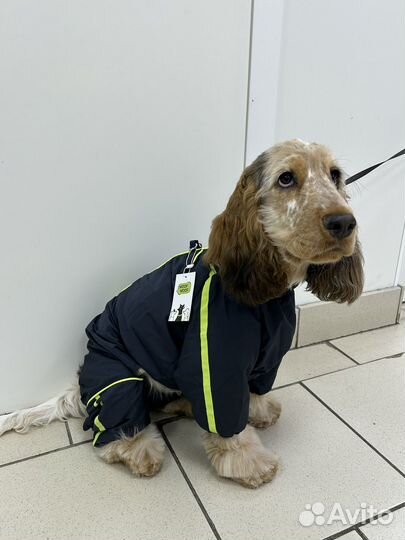 Комбинезон для собаки