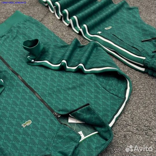 Спортивный костюм lacoste (Арт.93010)