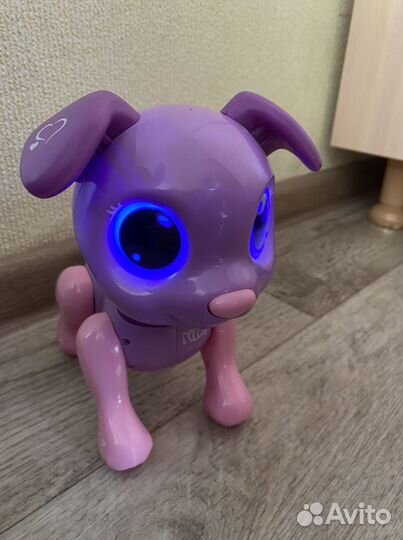 Littlest Pet Shop