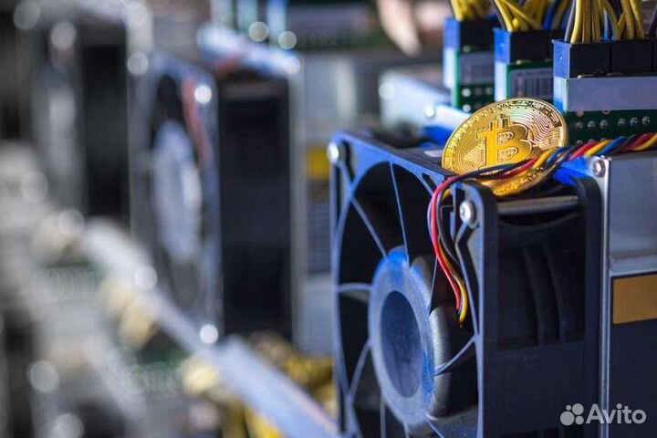 Asic установка оборудования и настройк