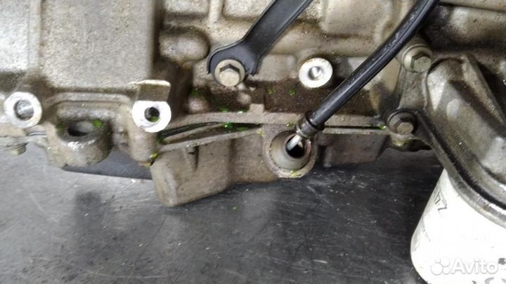 Двигатель qqdb Ford Focus 2 (2004-2011)