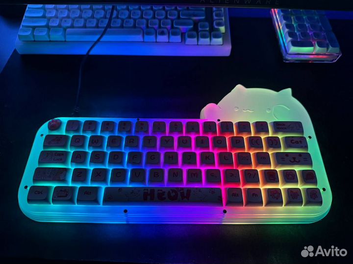 Продам кота