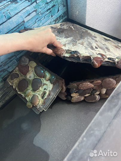 Террариум для красноухой черепахи