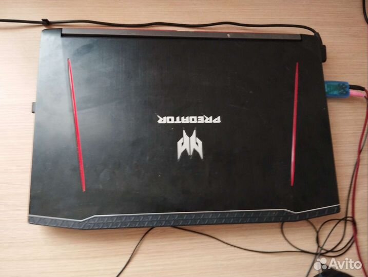 Acer predator