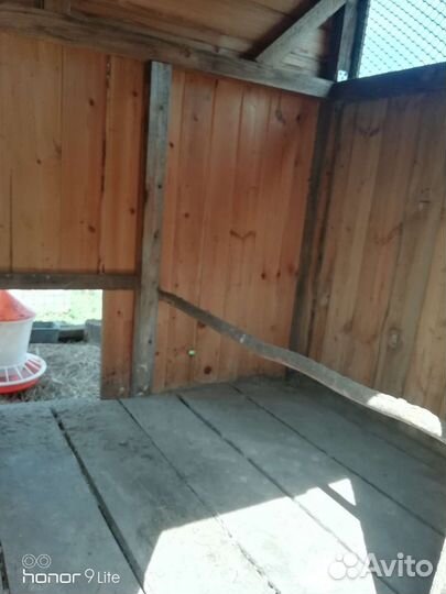 Готовый курятник