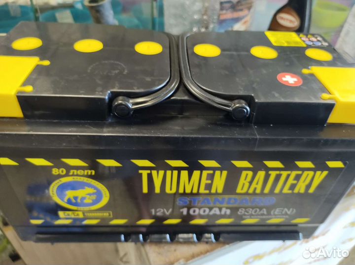 Аккумуляторы Тюмень 100А Доставка