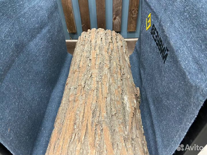 Дрoвницы Bезувий