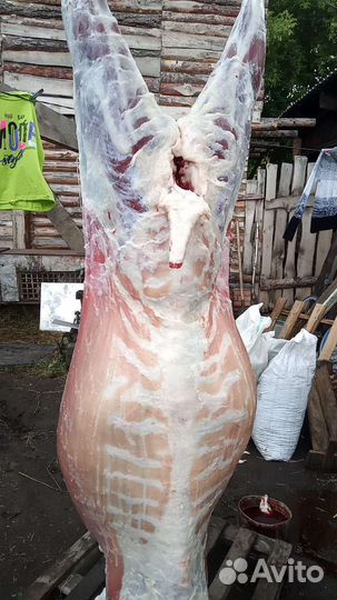 Козье мясо халяль, козлы упитанные