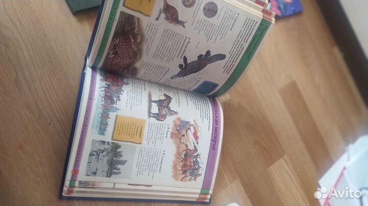 Энциклопедия для детей