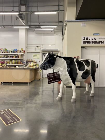 Торговая площадь