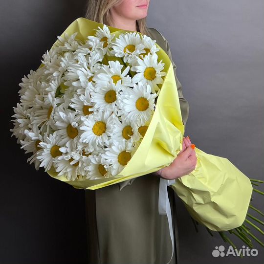 Цветы ромашки. Букеты ромашек. Ромашки. Цветы