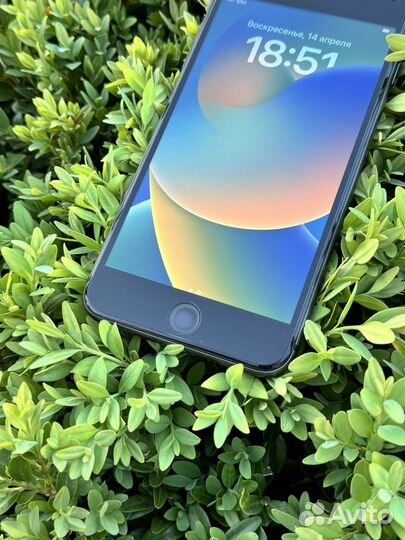 iPhone 8 Plus, 64 ГБ