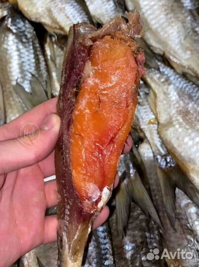 Вобла вяленая астраханская