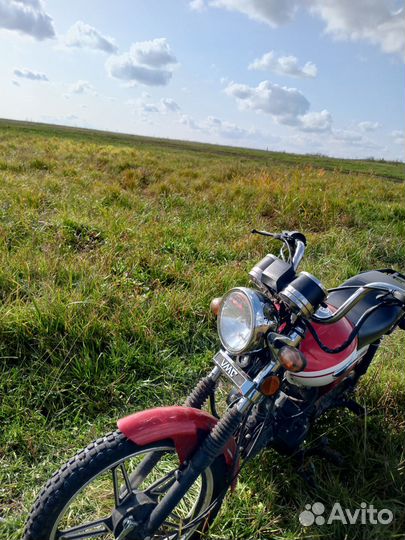 Alpha RX 125