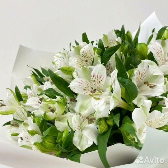 Букет из белых Альстромерий