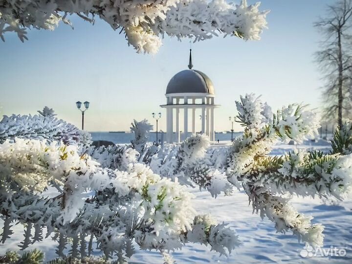 Петрозаводск Топ-Экскурсия Почувствовать Петрозаво