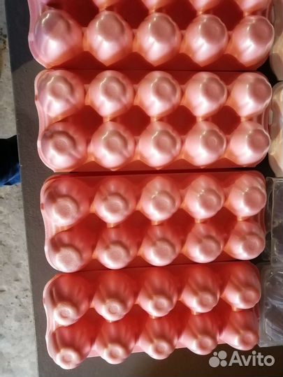 Ячейки для яиц