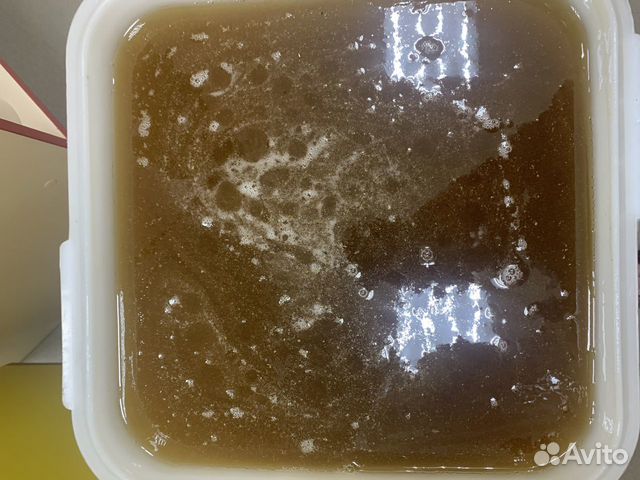 Мёд Акация Алтайская