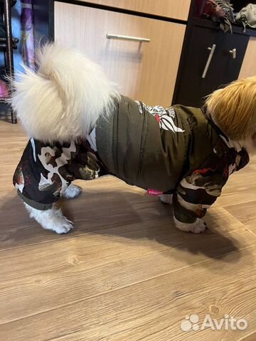 Комбинезон Одежда для маленьких собак
