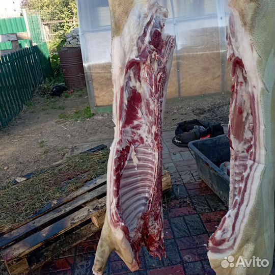 Сало свиное домашнее