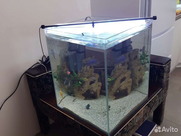 Аквариум