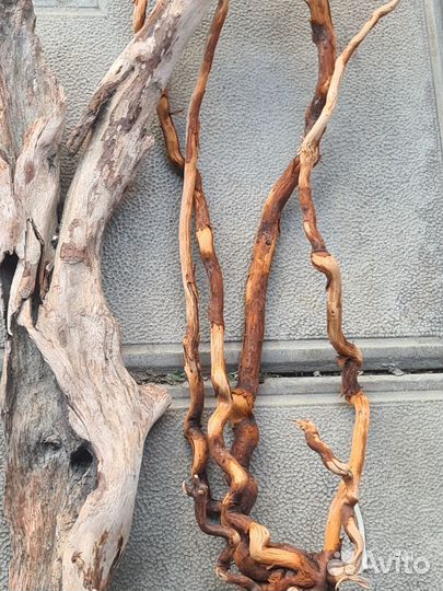 Коряги дрифтвуд